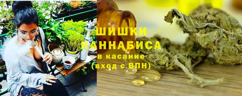 Бошки марихуана индика  Ельня 